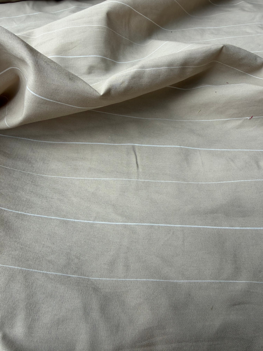 Rasatello Cotone Écru Gessato