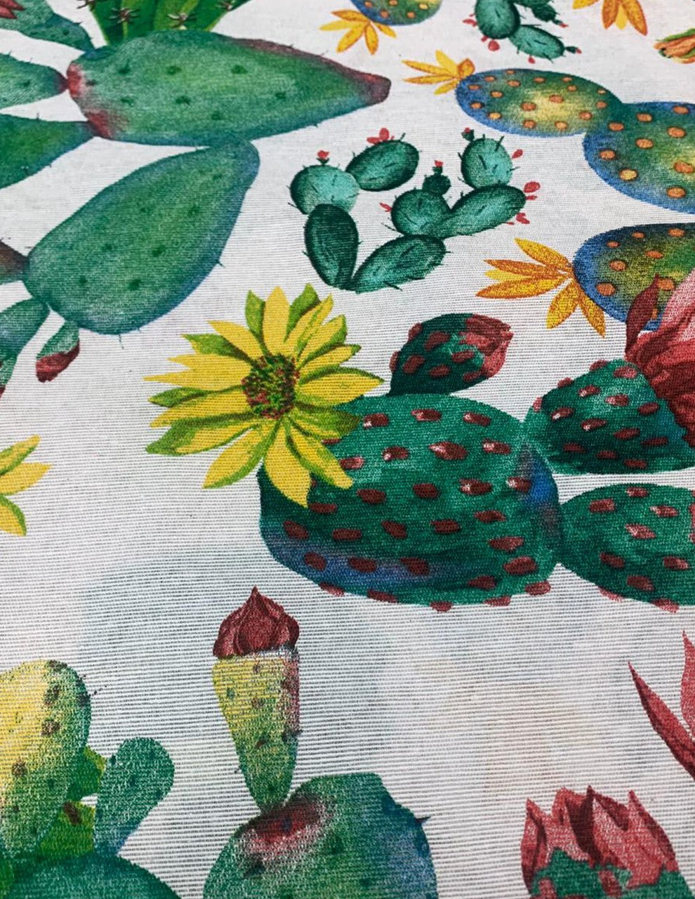 Tessuto Cotone Loneta Cactus Piante Grasse