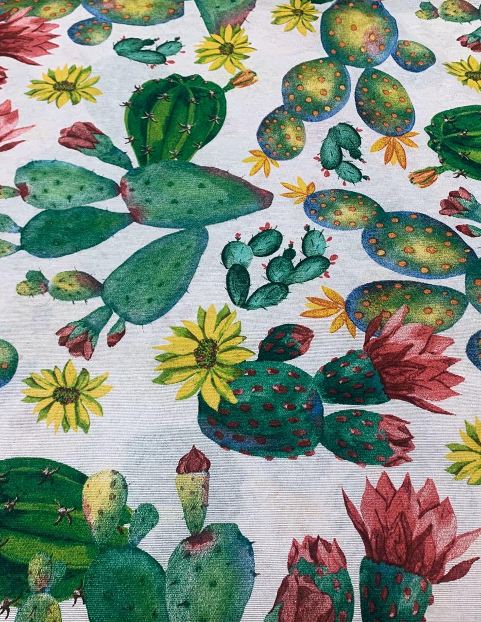 Tessuto Cotone Loneta Cactus Piante Grasse