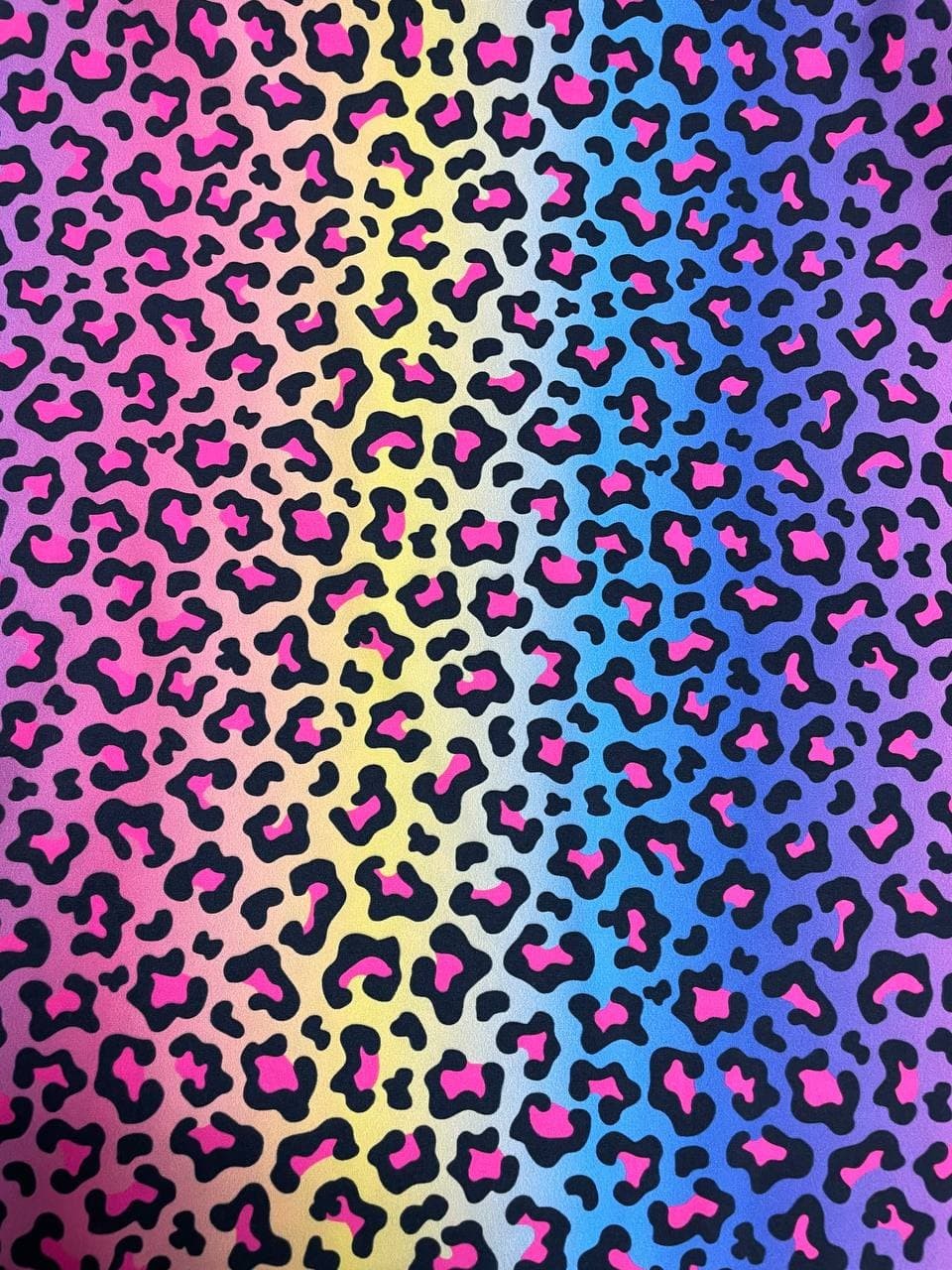 Maculato Multicolor
