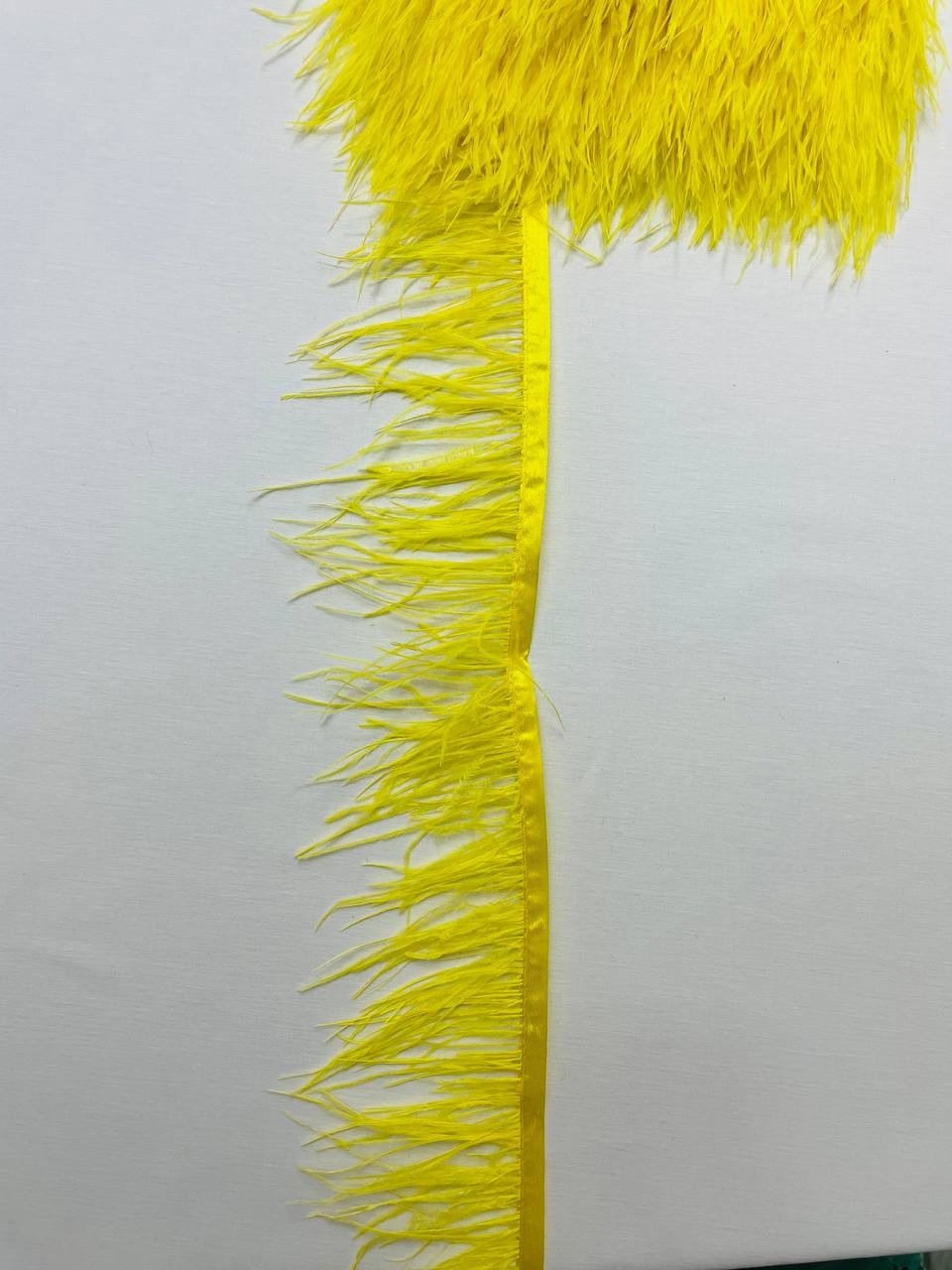 Piume Struzzo Frangia