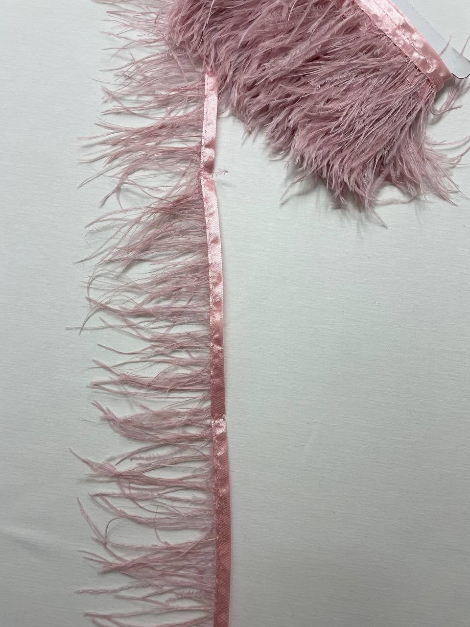 Piume Struzzo Frangia