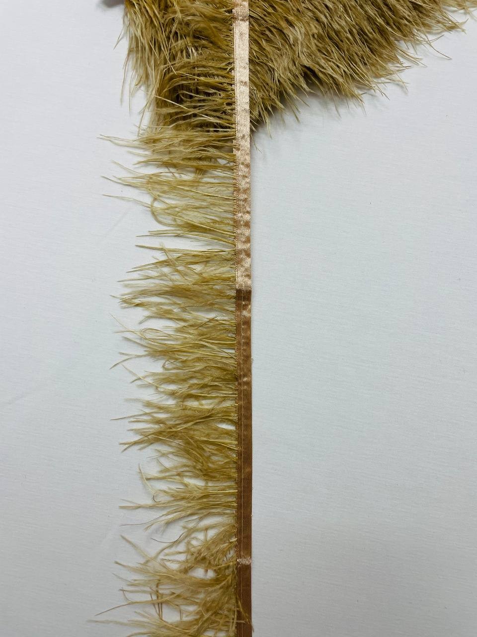 Piume Struzzo Frangia