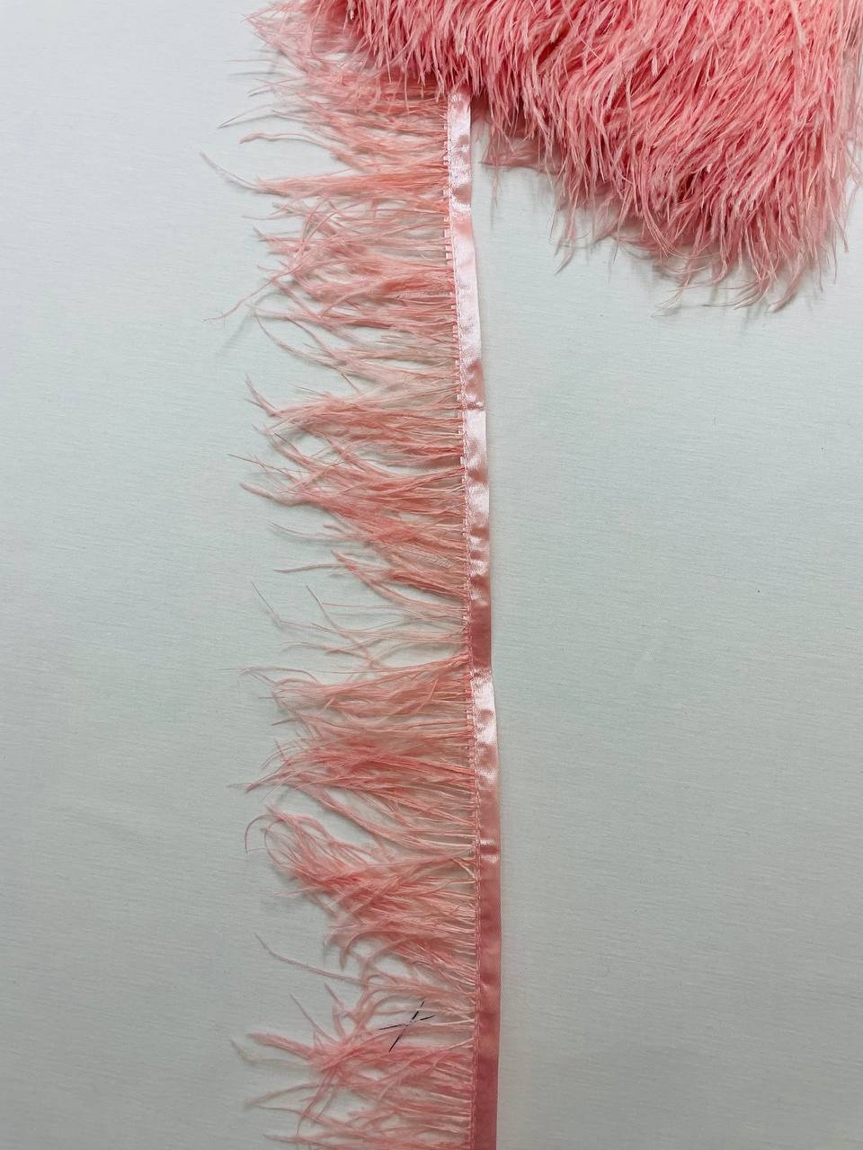 Piume Struzzo Frangia