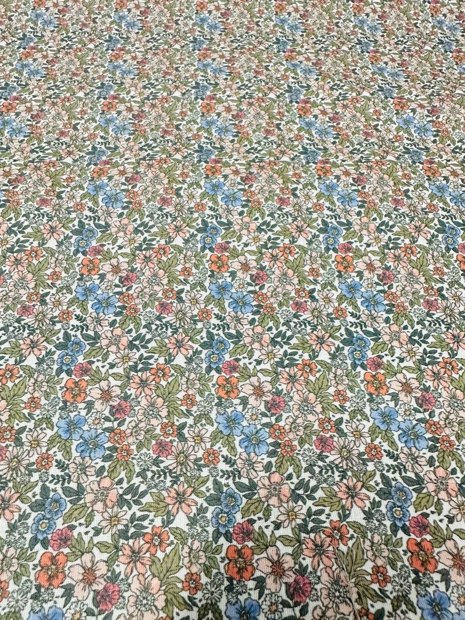 Cotone Provenzale Tolosa