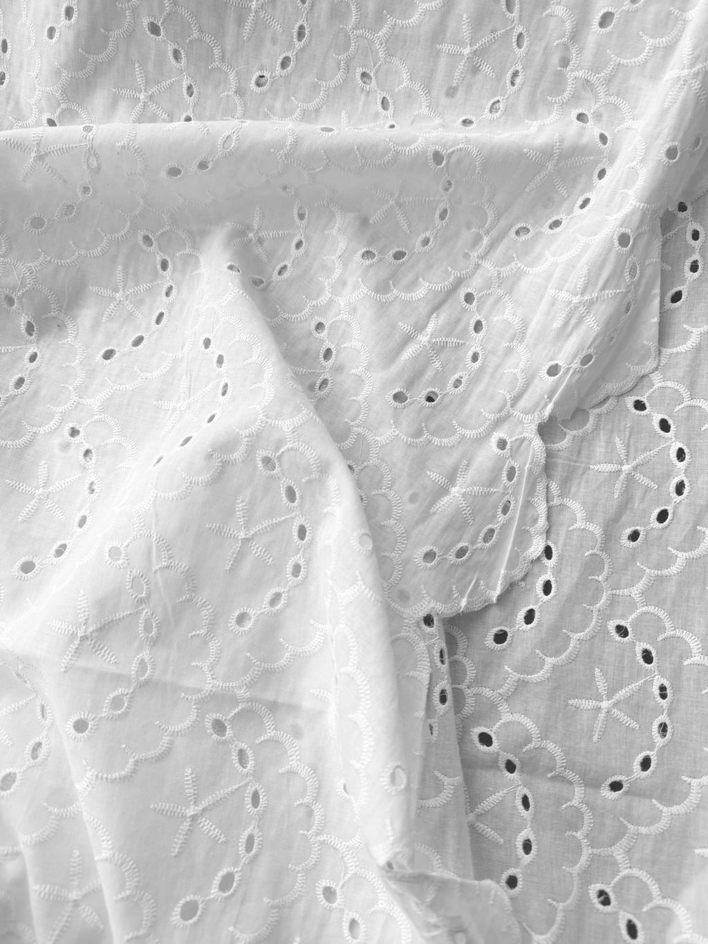 Cotone Pizzo San Gallo Ricamato Costiera