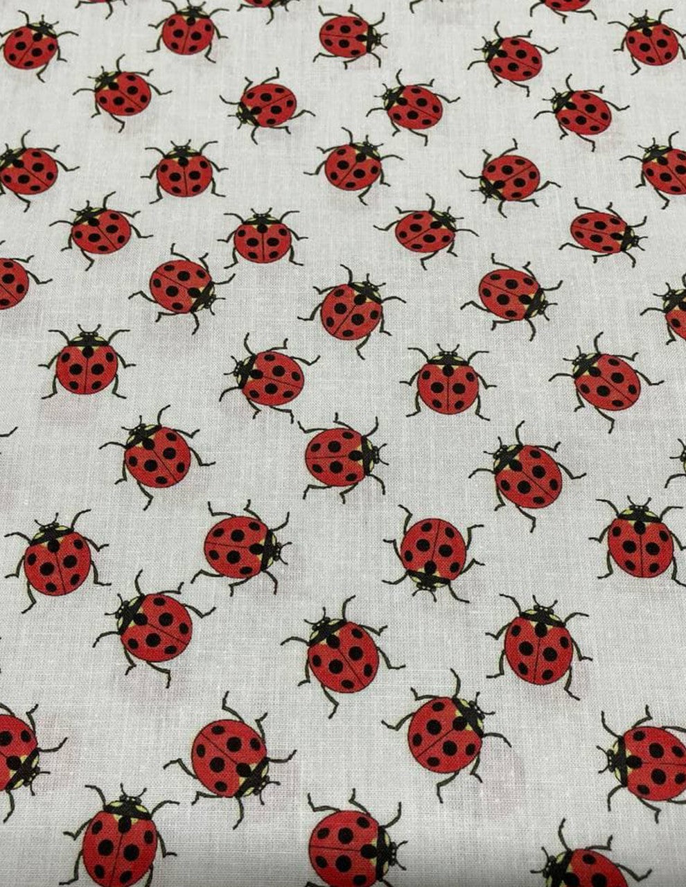 Tessuto Cotone Coccinella 150H