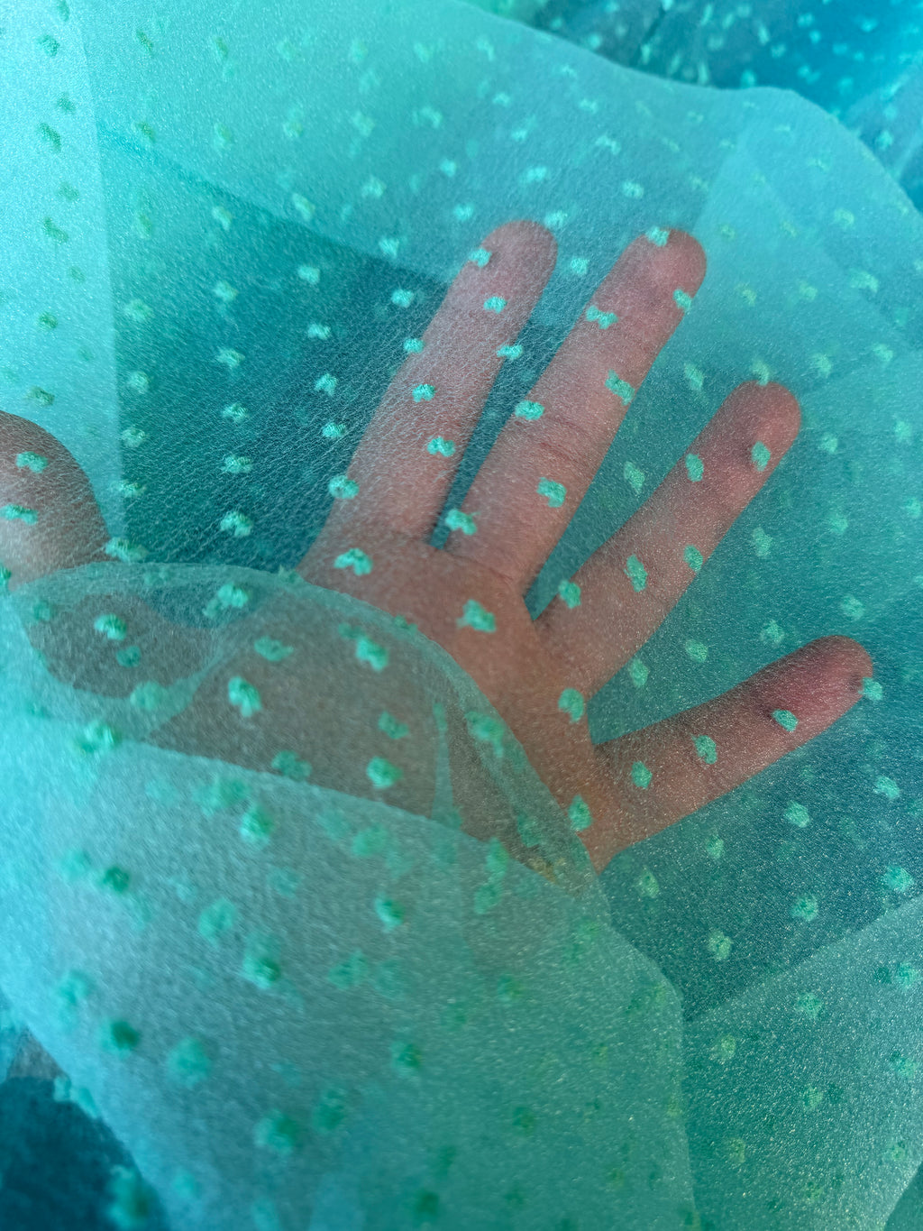 Organza plumetis pois