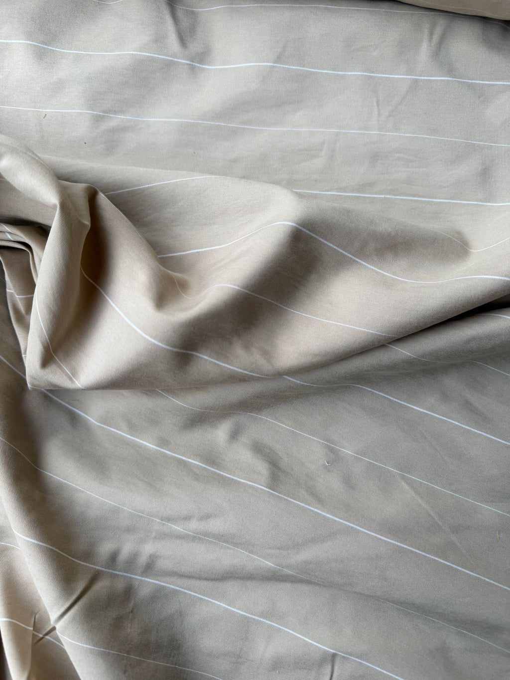 Rasatello Cotone Écru Gessato