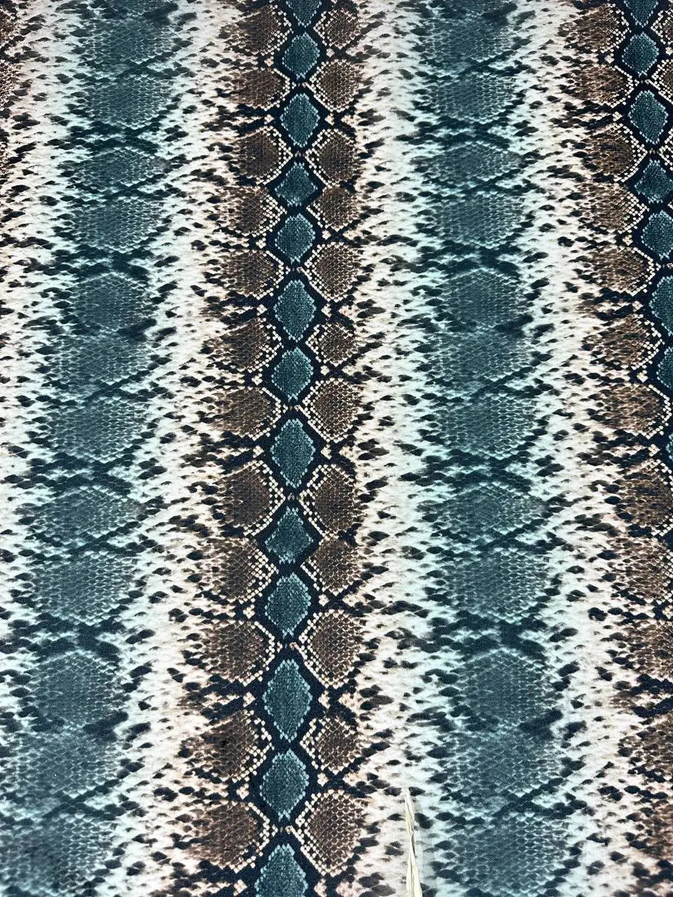 Chiffon Pitonato