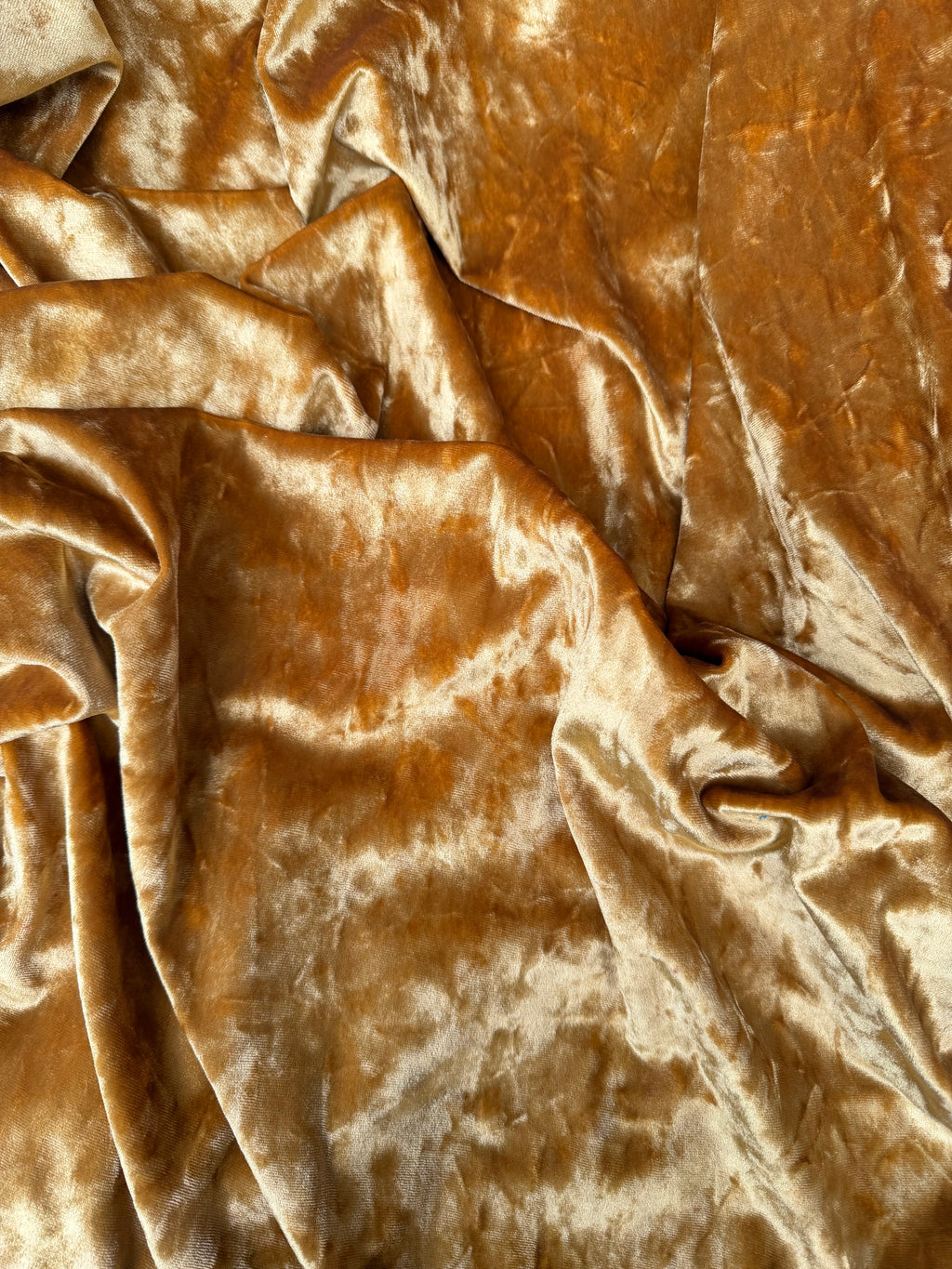 Ciniglia Velluto oro bielastica