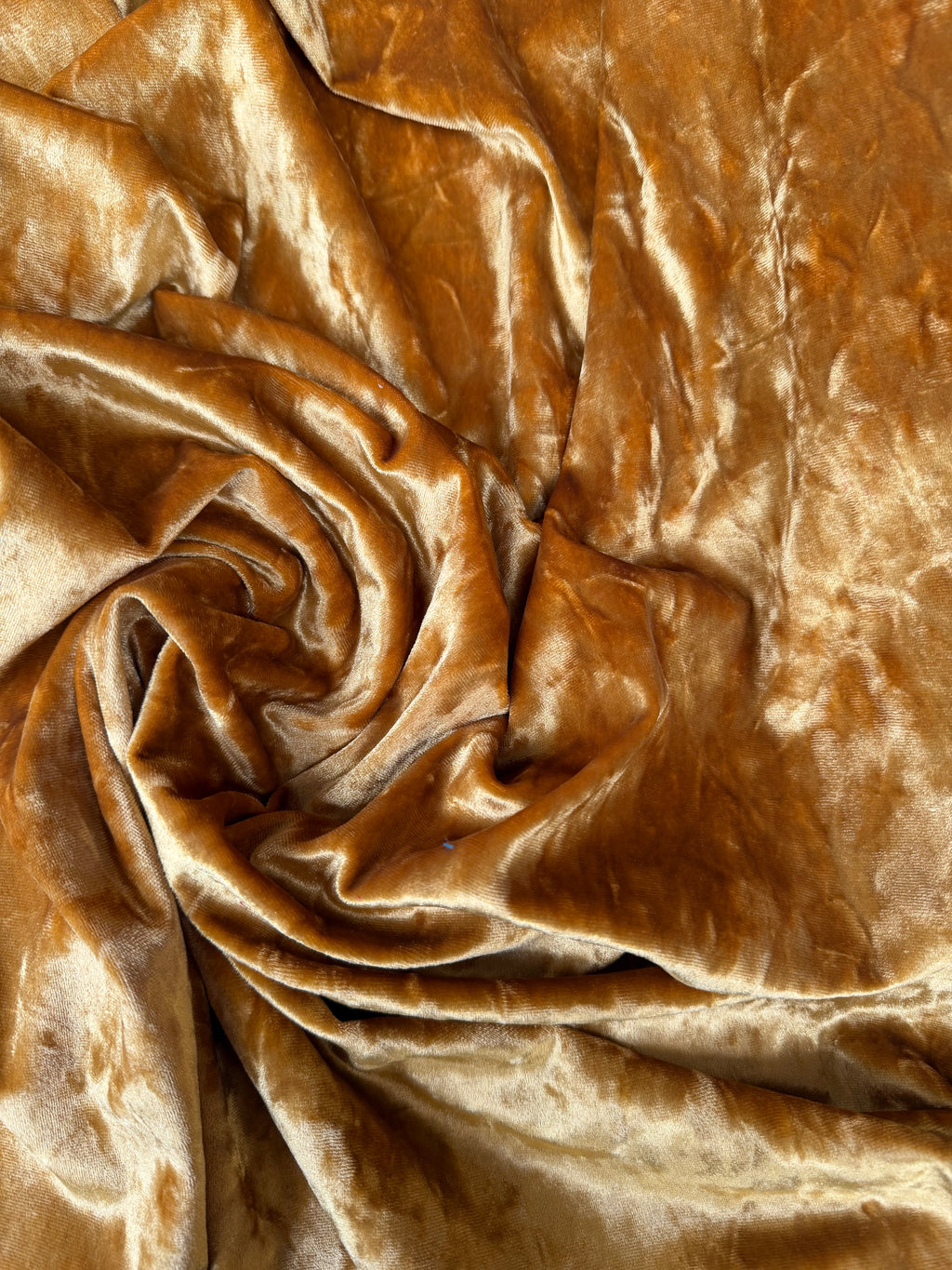 Ciniglia Velluto oro bielastica