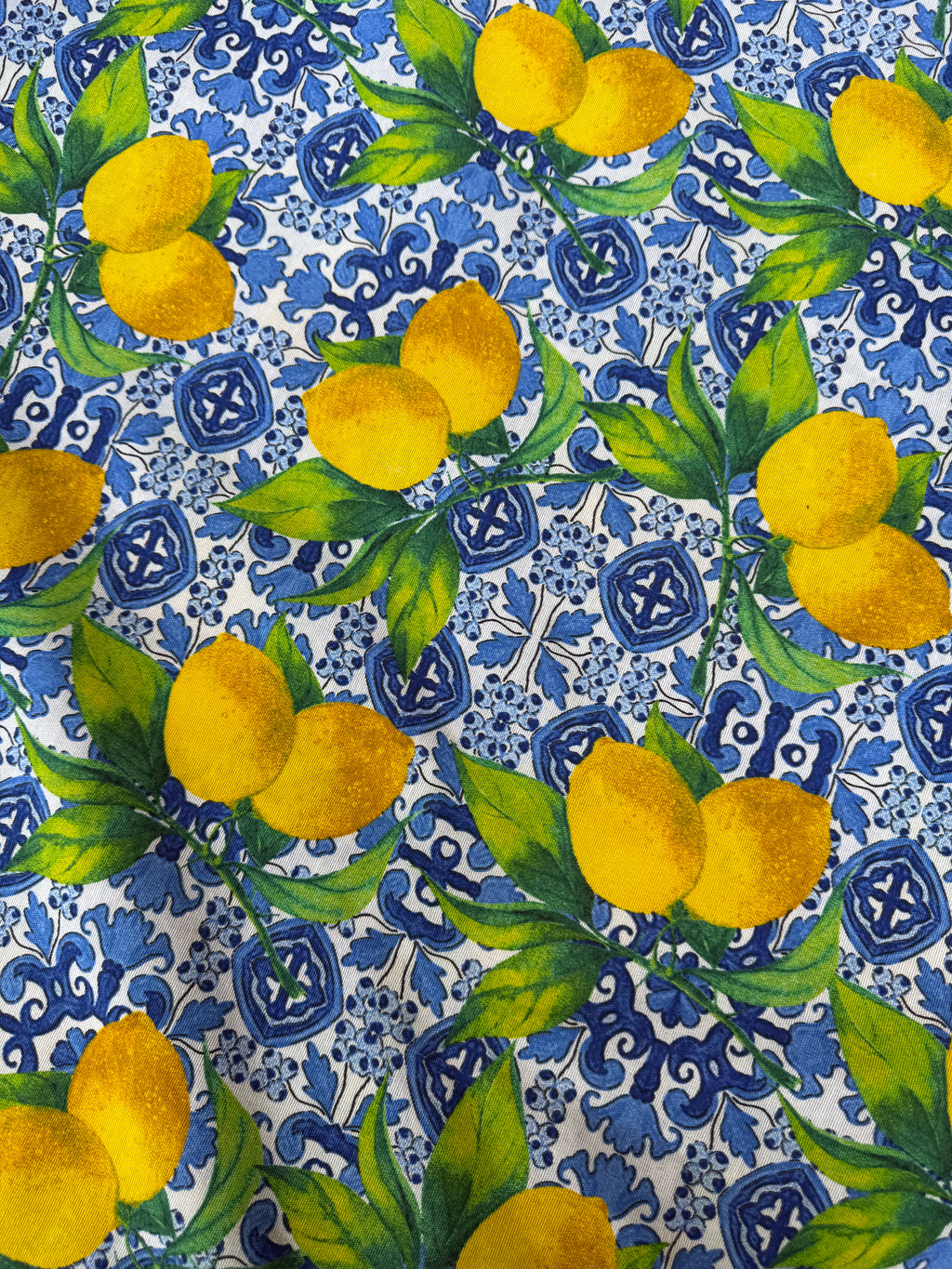Tessuto Panama Cotone Costiera Limoni Maiolica