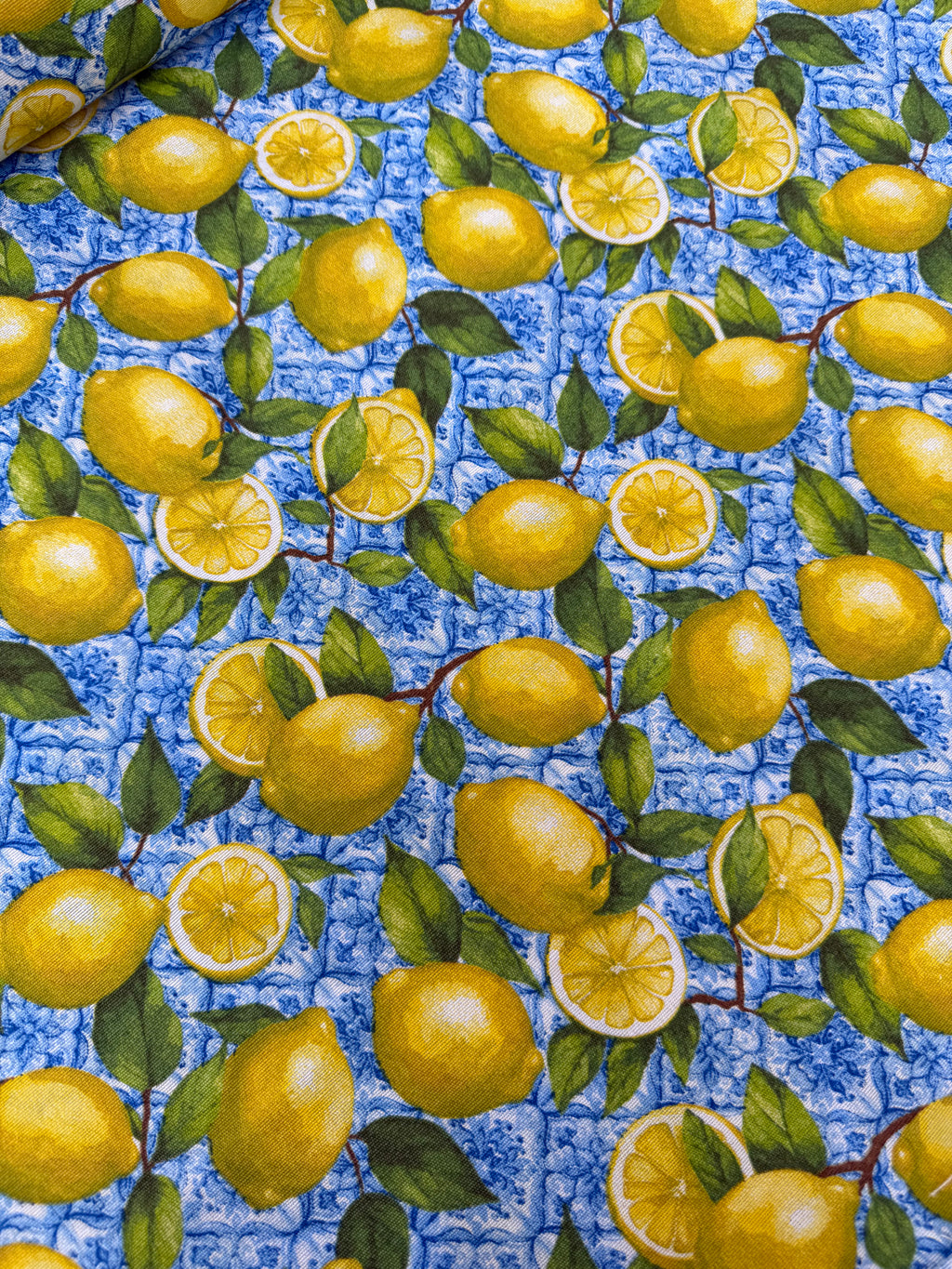 Tessuto Panama Cotone Costiera Limoni Maiolica