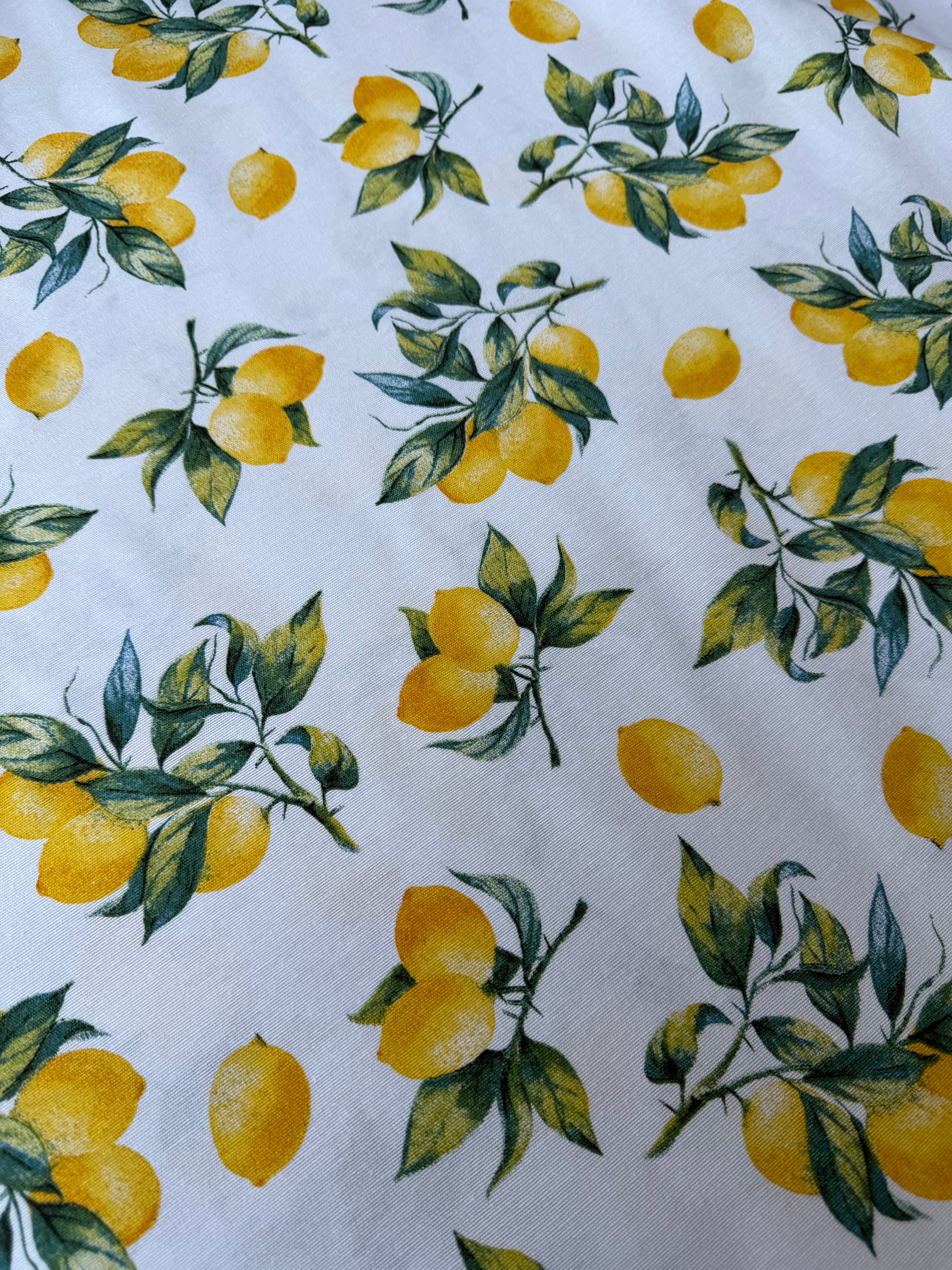 Tessuto Panama Cotone Costiera Limoni Maiolica