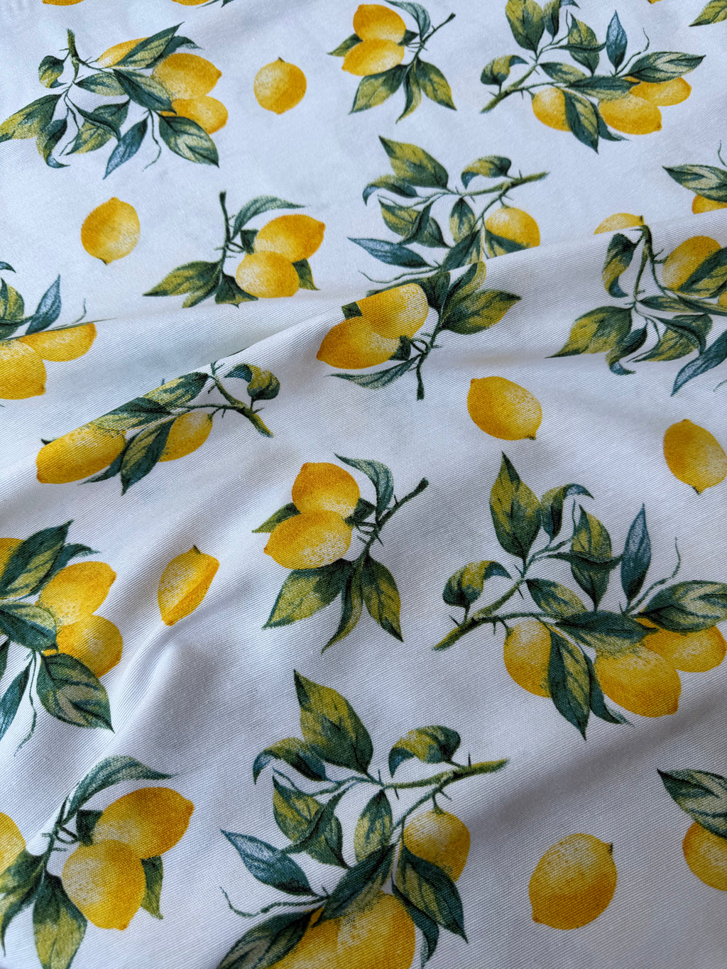 Tessuto Panama Cotone Costiera Limoni Maiolica