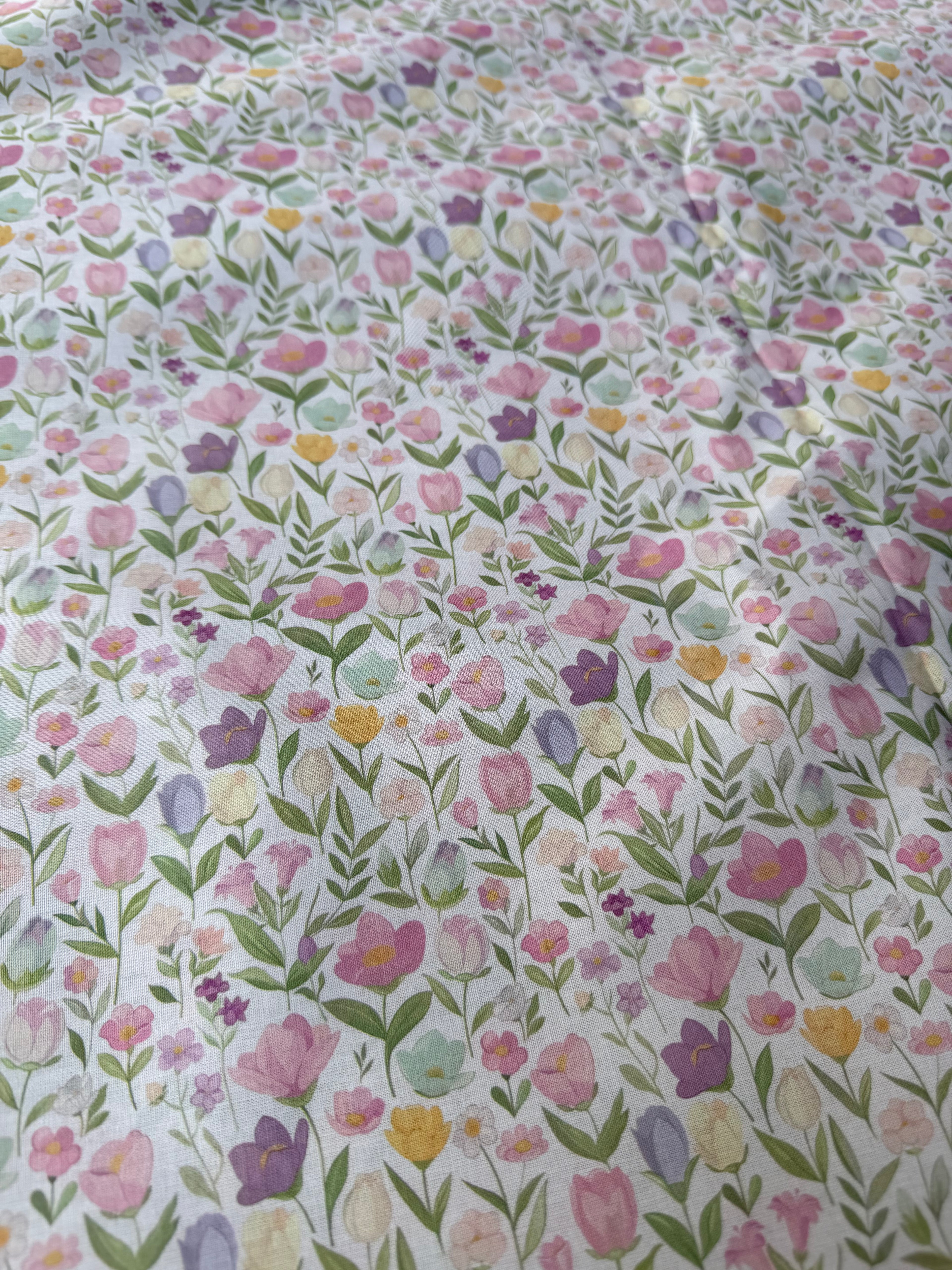 Cotone Provenzale Re Kaio