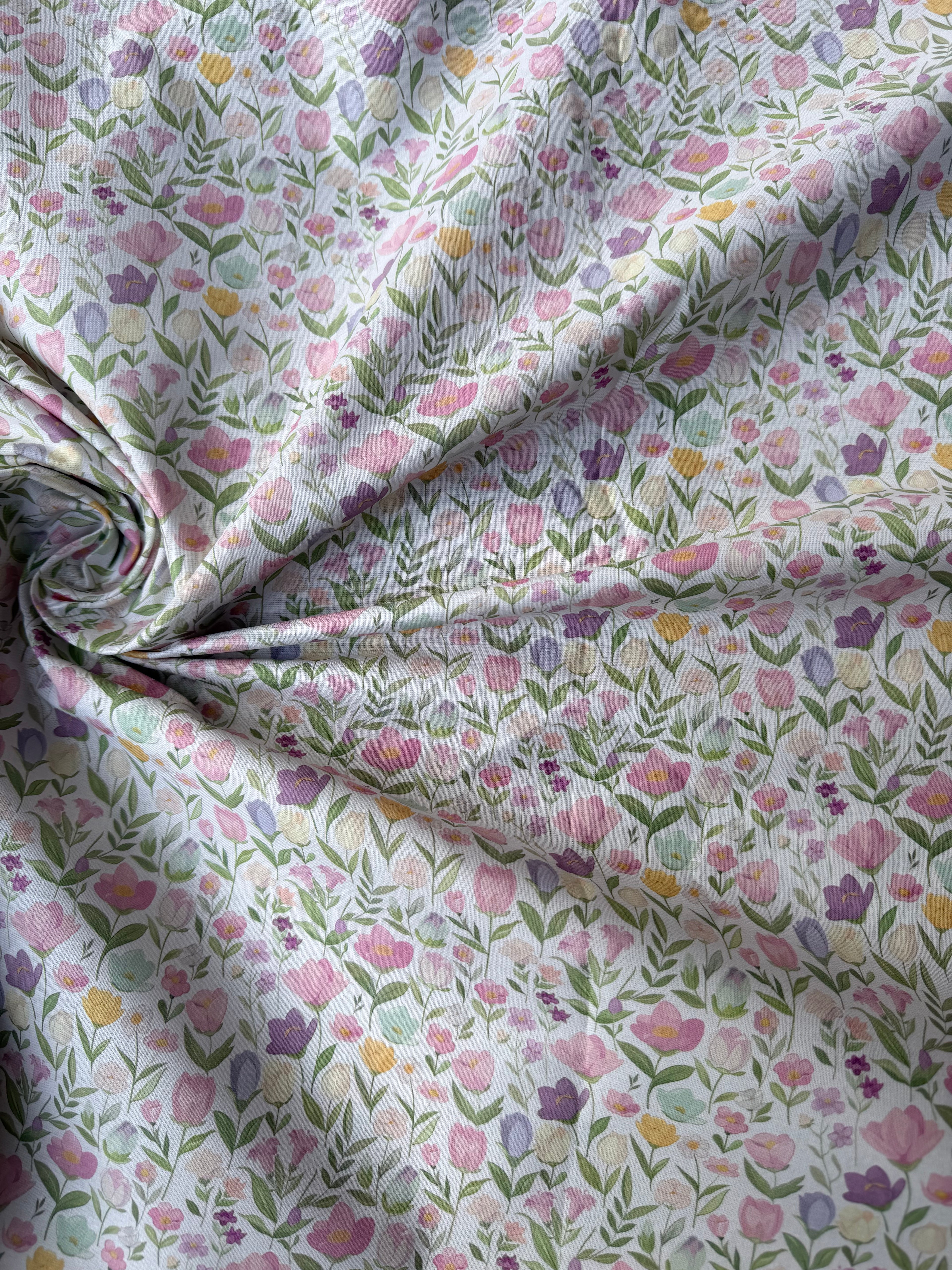 Cotone Provenzale Re Kaio