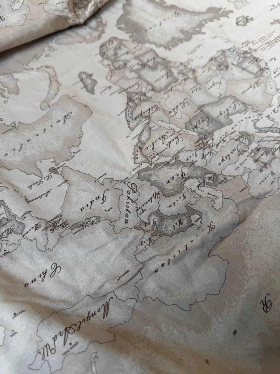 Popeline cotone Mappamondo