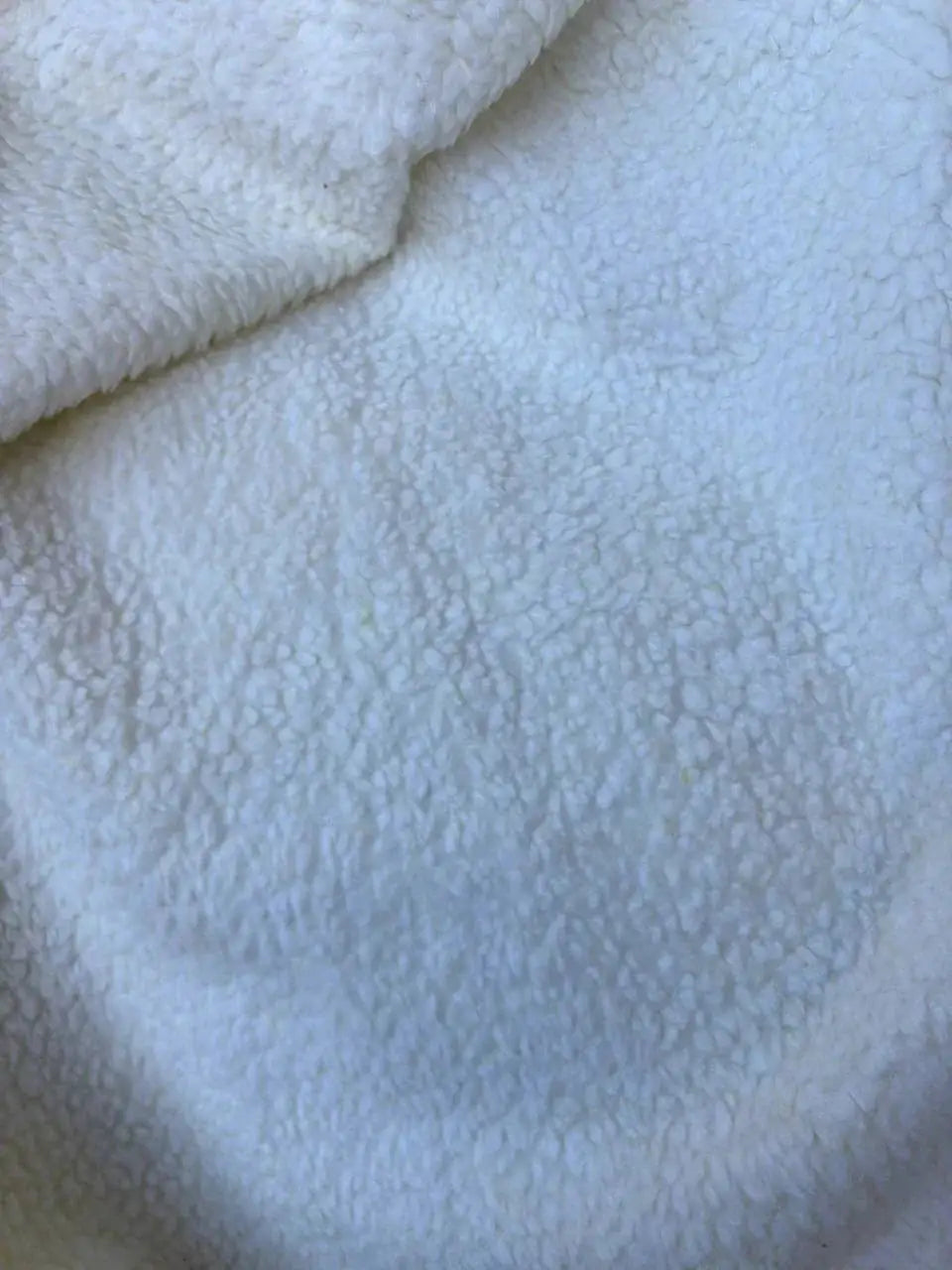 Pelliccia Riccio  Pecorella