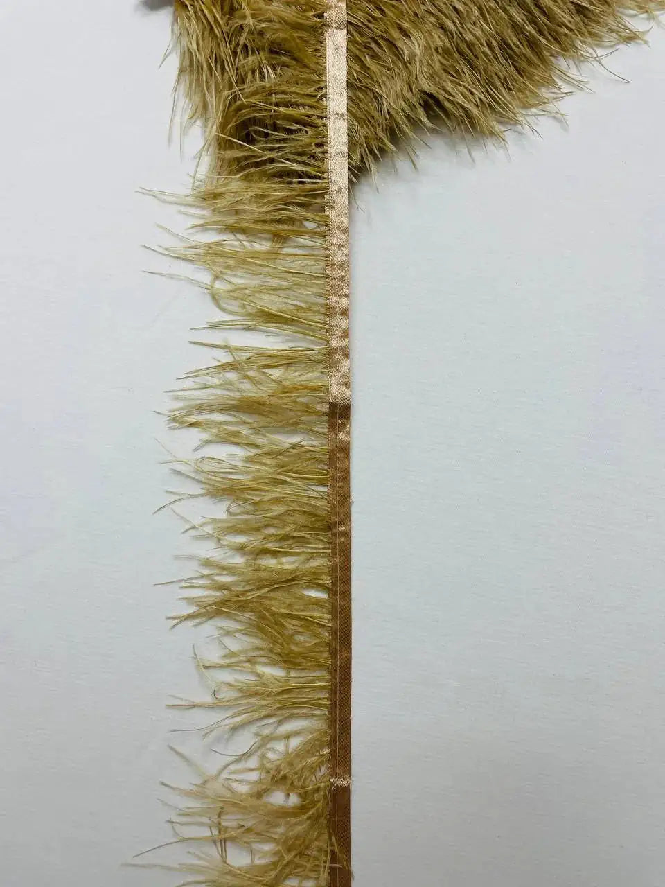 Piume Struzzo Frangia