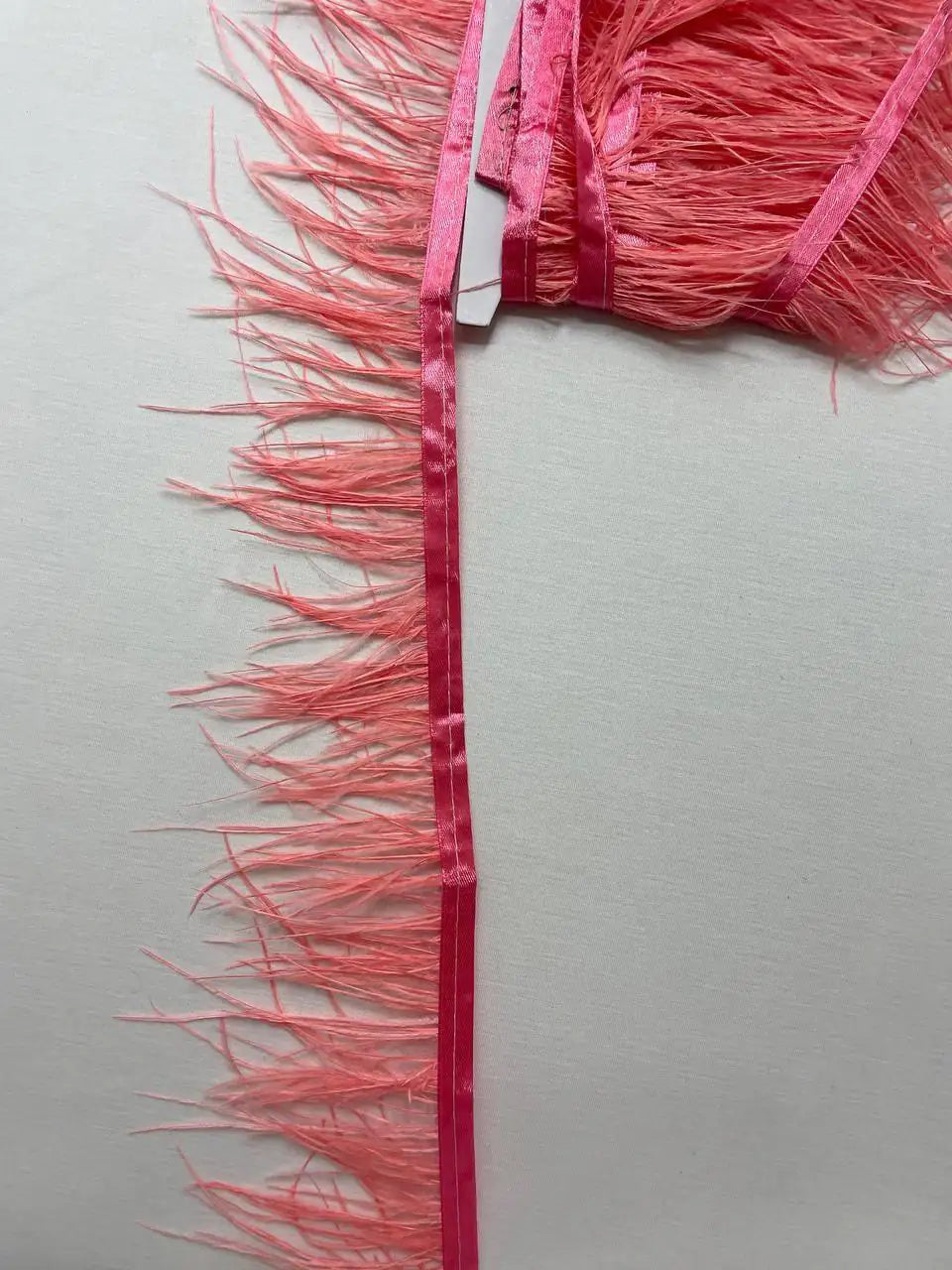 Piume Struzzo Frangia