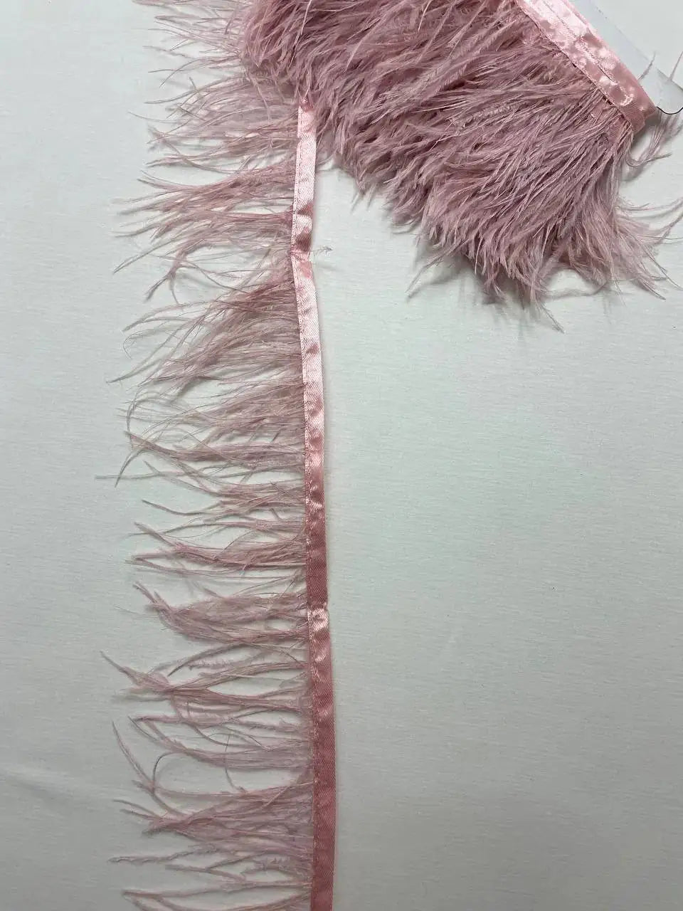 Piume Struzzo Frangia