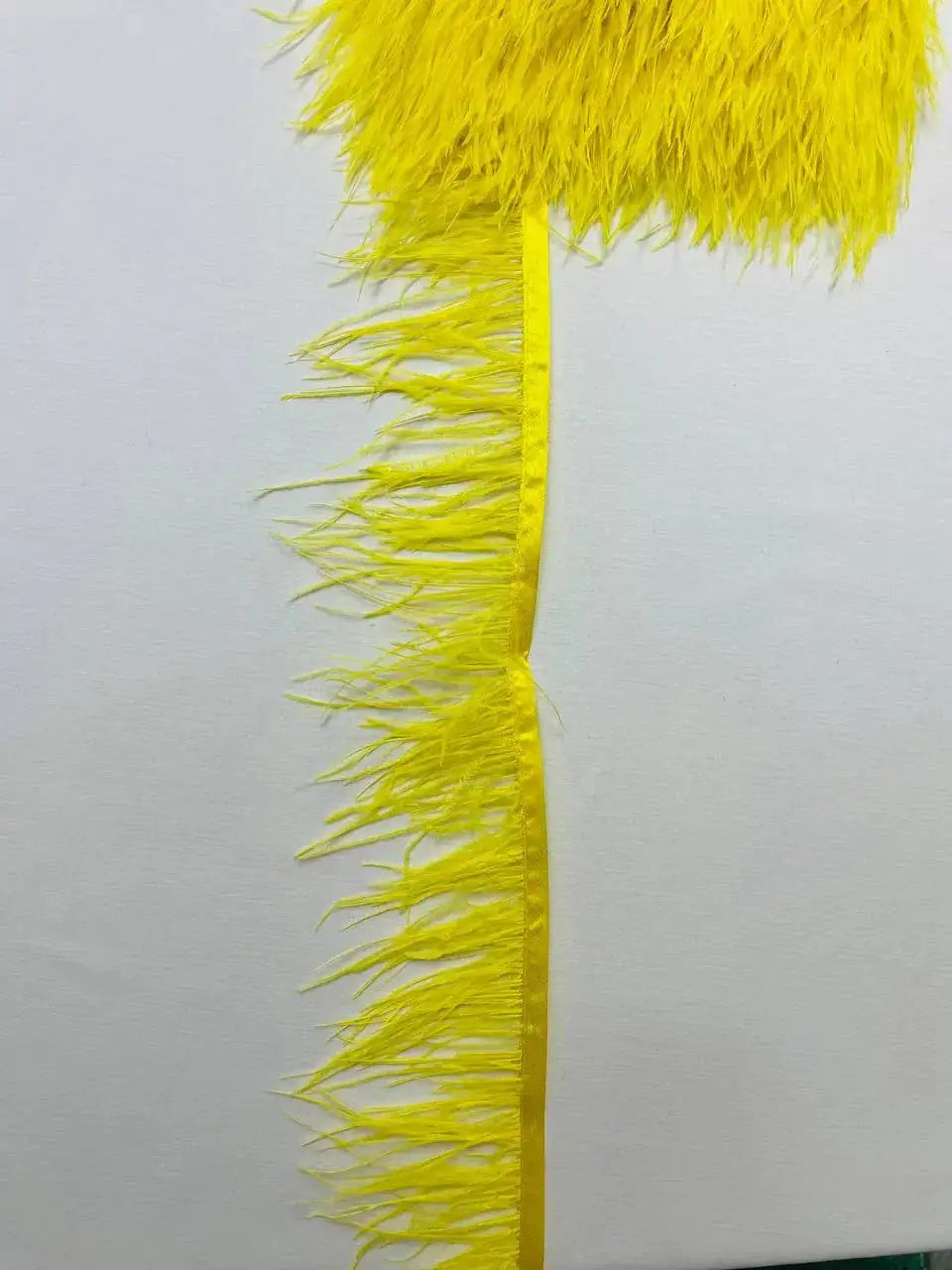 Piume Struzzo Frangia