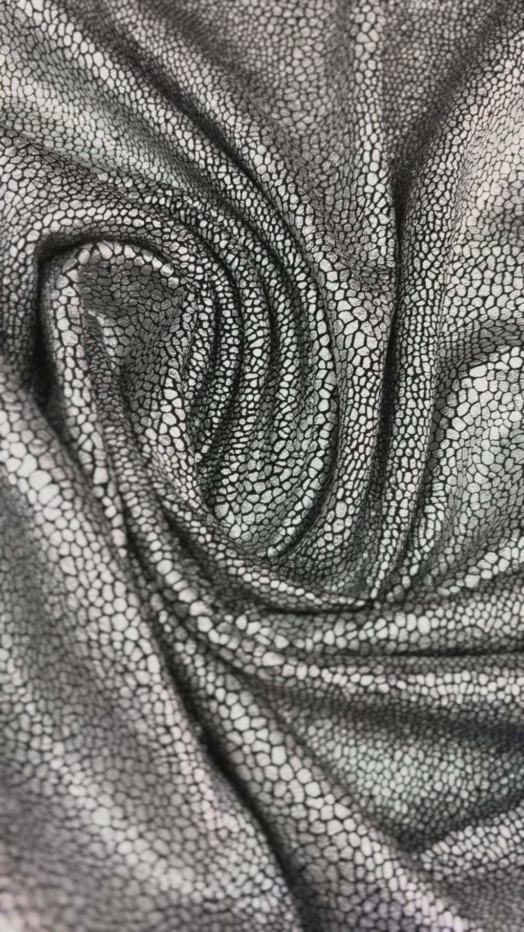 Lycra Lurex Serpente  Argento